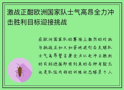 激战正酣欧洲国家队士气高昂全力冲击胜利目标迎接挑战