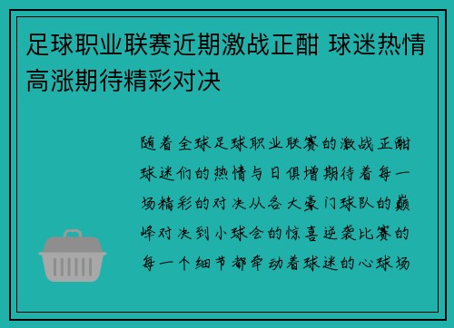 足球职业联赛近期激战正酣 球迷热情高涨期待精彩对决